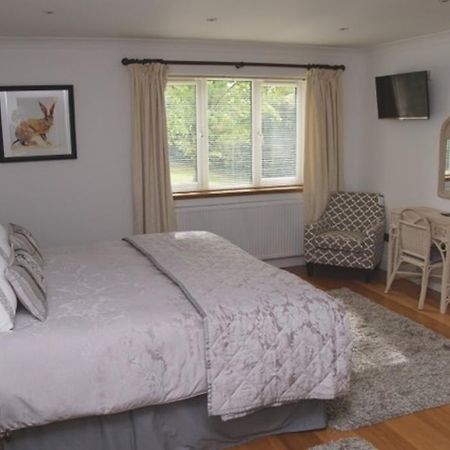 Cherry Tree Guesthouse Bradford-On-Avon Pokój zdjęcie